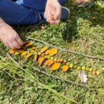 Atelier land Art